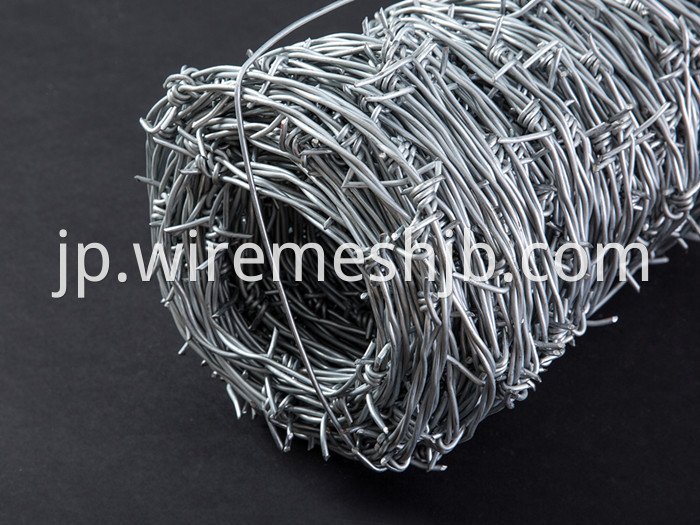 Barbed Wire Double Strand